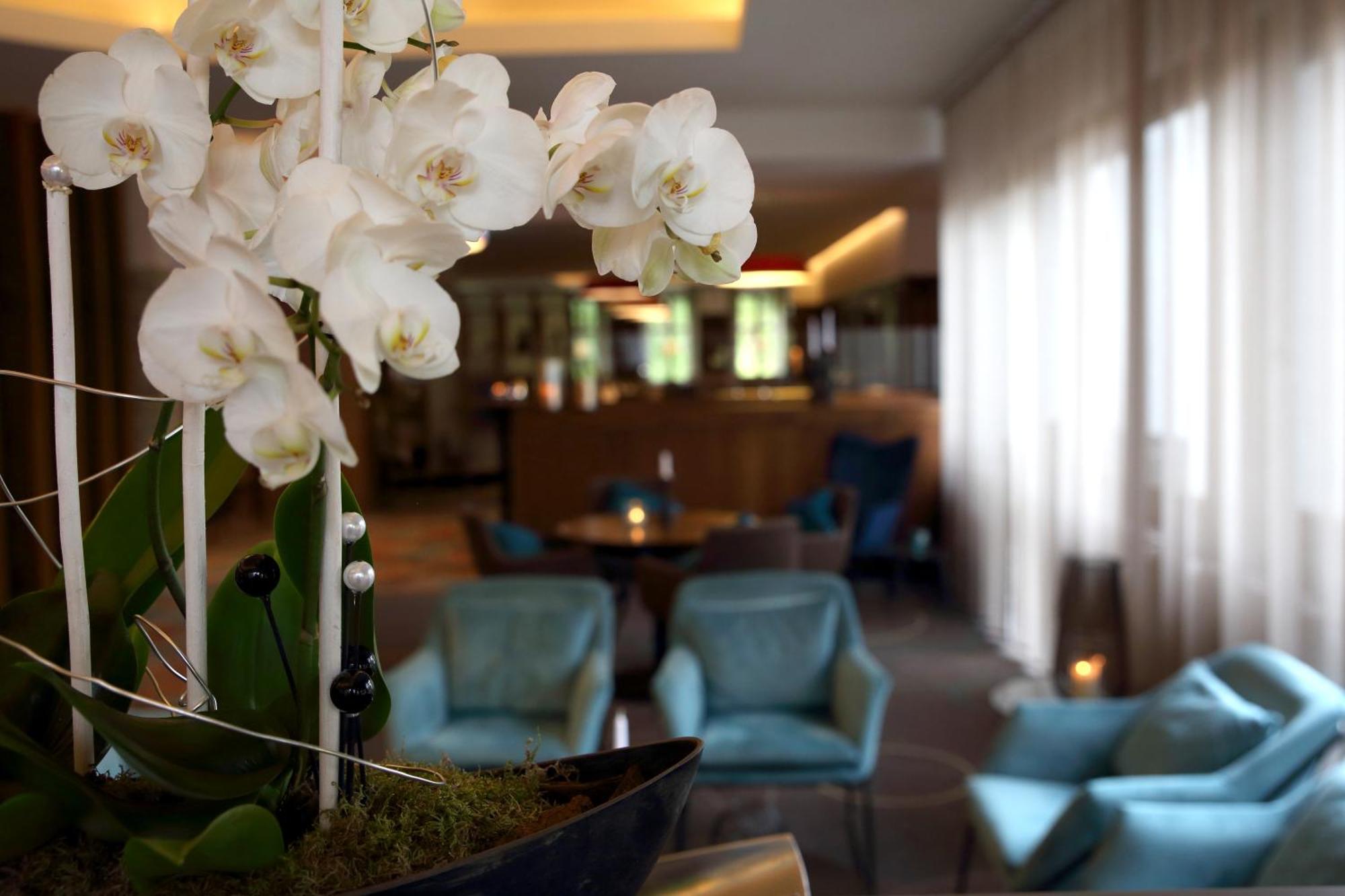 Lobinger-Parkhotel Гинген ан дер Бренц Екстериор снимка